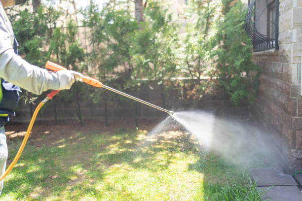 Best Outdoor Pest Control  in West Fork, AR